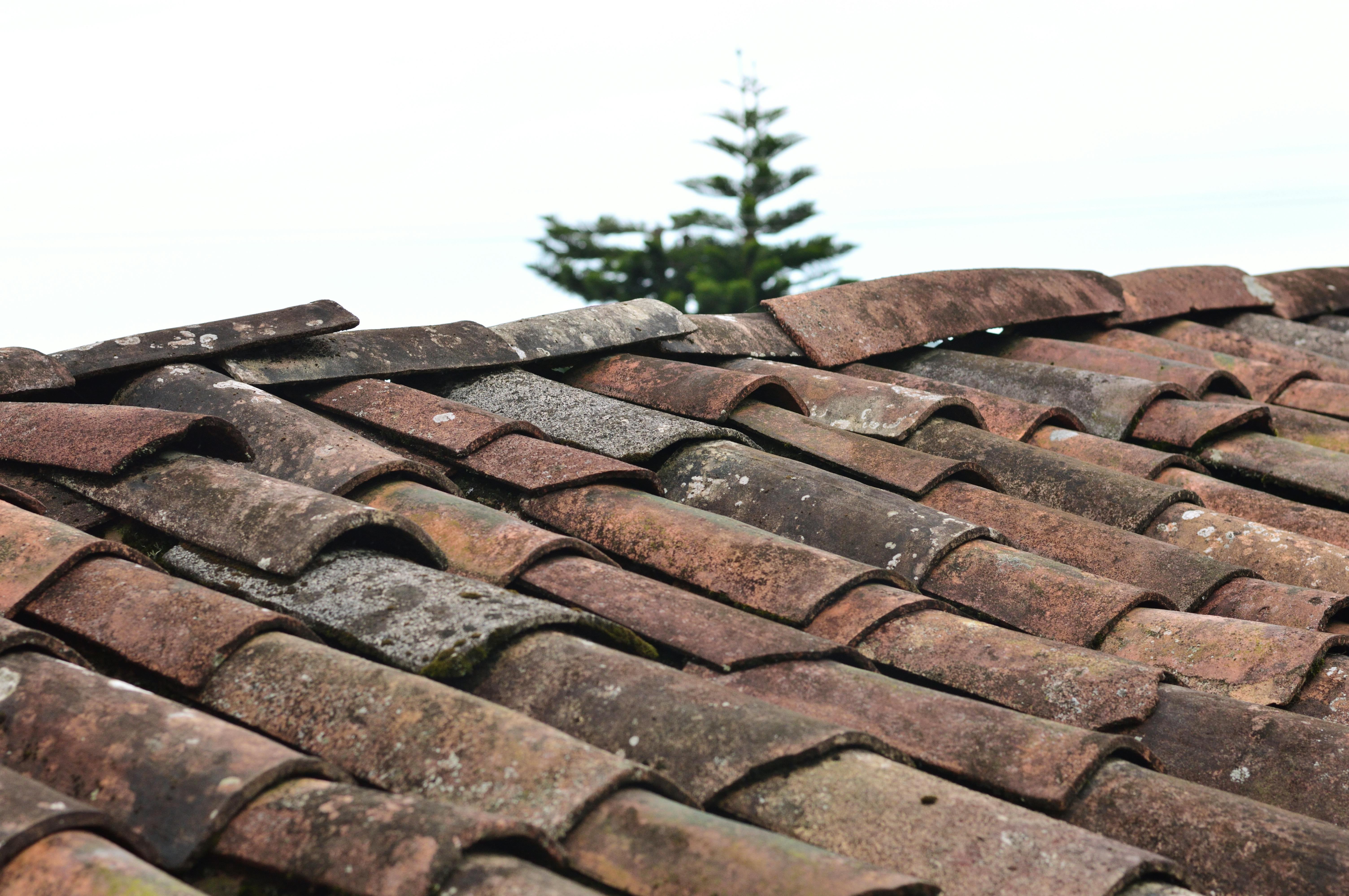 Historical Roof Restoration